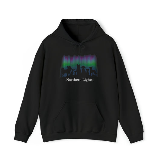 'Dogs Gazing at Northern Lights' Unisex Heavy Blend™ Hooded Sweatshirt