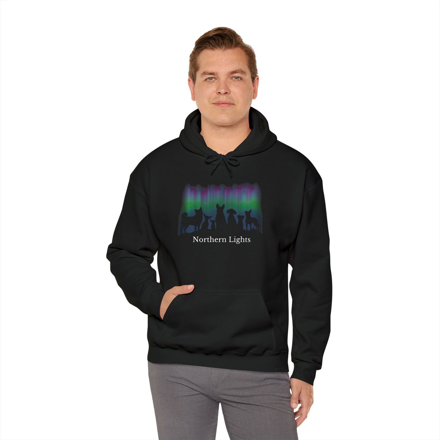 'Dogs Gazing at Northern Lights' Unisex Heavy Blend™ Hooded Sweatshirt