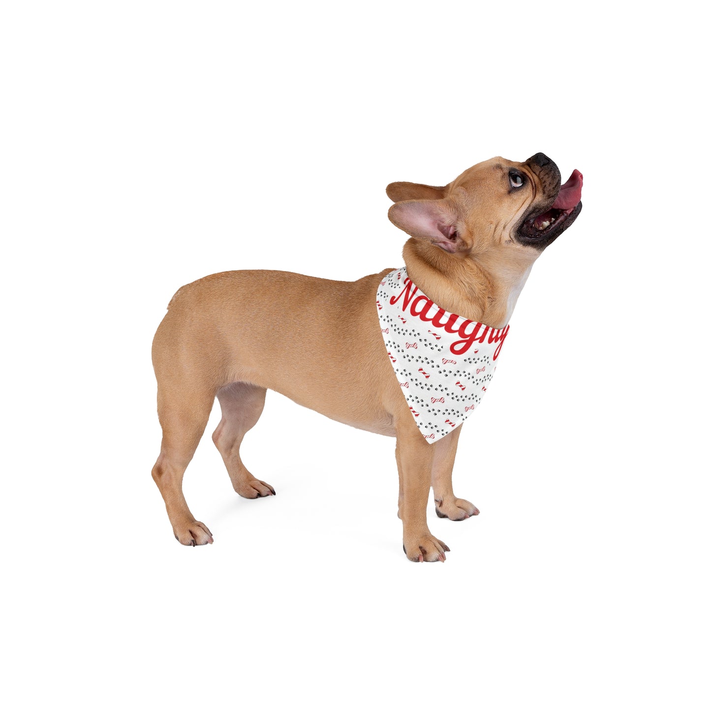 'Naughty!' Pet Bandana