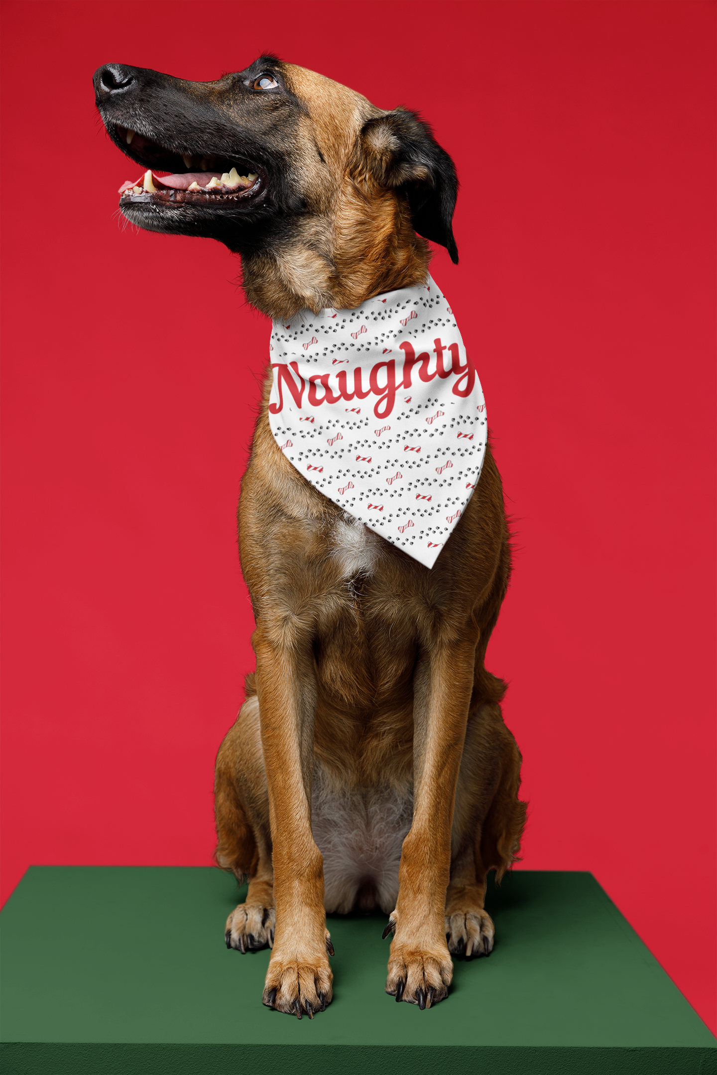 'Naughty!' Pet Bandana